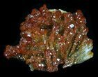 Deep Red Vanadinite Crystals - Morocco #32335-1